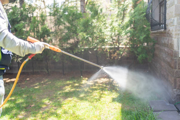 Best Outdoor Pest Control  in Mount Oliver, PA